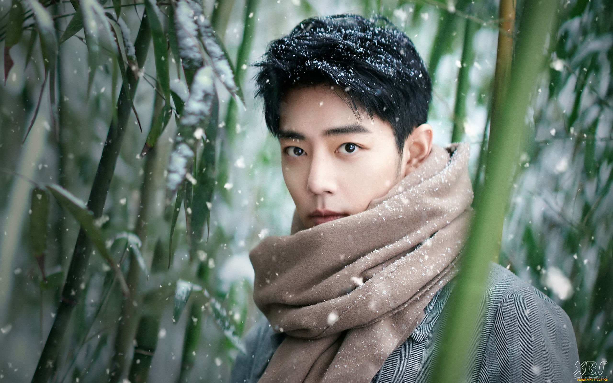 , xiao zhan, , , , , 